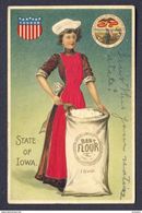 IOWA STATE Woman In Red/purple Silk Applique Apron Scooping From Bag Flour - Mujeres
