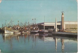 POSTCARD PORTUGAL - AVEIRO - LOTA - BOATS - Aveiro