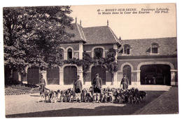 3736 - Rosny Sur Seine - Equipage Lebaudy - La Meute Dans La Cour Des Ecuries - N.D. Ph. - N°48 - - Chasse