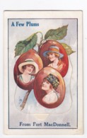 Port MacDonnell South Australia, 'A Few Plums' Fold-out Images Under Flap, C1910s Vintage Postcard - Otros & Sin Clasificación