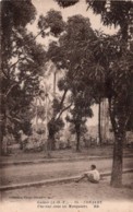 CPA   GUINEE FRANCAISE---CONAKRY---UNE VUE SOUS LES MANGUIERS - Guinée Française