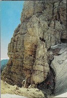 DOLOMITI DI BRENTA - VIA DELLE BOCCHETTE ALLA BOCCA DELLE ARMI - TIMBRO RIFUGIO ALIMONTA - NUOVA - Bergsteigen