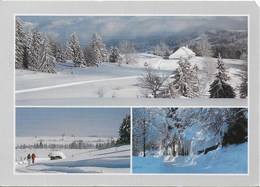 Franche-Comté - Paysage D'hiver - Franche-Comté