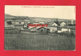 69 Rhône CHIROUBLES Vins Rouges Renommés + Cachet Hôpital N° 11Bis Lyon - Chiroubles