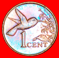 # HUMMING-BIRD And 3 SHIPS (1976-2016): TRINIDAD AND TOBAGO ★ 1 CENT 2001 MINT LUSTER! LOW START ★ NO RESERVE! - Trinidad En Tobago