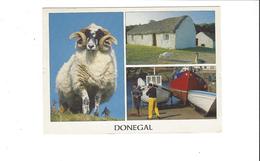 Z   IRLANDE DONEGAL  MULTIVUES  MOUTONS  ****  A  SAISIR  **** - Donegal