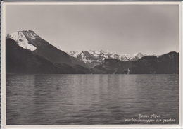 VORDERMEGGEN MEGGEN  Mit Blick Auf Die Berner Alpen - Meggen