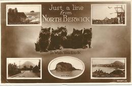 JUST A LINE FROM NORTH BERWICK - MULTIVIEW - SHOWING DOUBLE DIVE BATHING POND ETC. - East Lothian