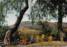 Les Monédières - Le Limousin Pittoresque - Andere & Zonder Classificatie