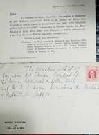 O) 1928 ARGENTINA, SAN MARTIN 5c Red, MUSEO NACIONAL DE BELLAS ARTES,XF - Brieven En Documenten