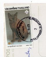 Thailande--timbre " Chat " Sur Carte Postale Marché Flottant  -- Beau Cachet - Thailand