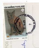 Thailande--timbre " Chat " Sur Carte Postale Marché Flottant  -- Beau Cachet - Thaïlande