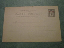 ENTIER Type Sage Surchargé - Carte Postale - Storia Postale