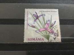 Roemenië / Romania - Bloemen (3.30) 2015 - Oblitérés