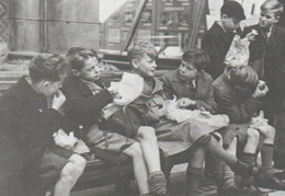 Postcard - Natural History Museum - Boys On A School Trip Picnicking 1948 - New - Museum