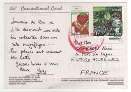 Beau Timbre " Félin : Félis Tigrina " Sur Cp , Carte Postale Du 06/oct 2000 - Briefe U. Dokumente