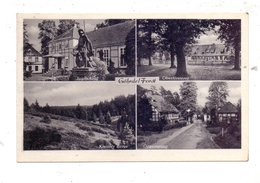 3139 GÖHRDE, Oberförsterei, Ortseingang.., Landpoststempel "Pommoissel über Dahlenburg", 1959 - Luechow