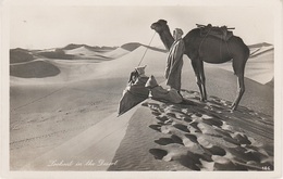 AK Lookout In Desert Bédouine Arabe Arab Arabien Afrique Africa Afrika Vintage Lehnert Landrock Cairo Egypte Egypt - Afrique