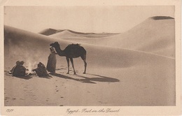 AK Rest Break In Desert Bédouine Arabe Arab Arabien Afrique Africa Afrika Vintage Lehnert Landrock Cairo Egypte Egypt - Afrique