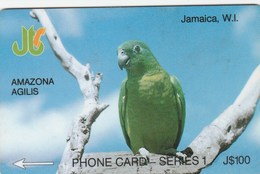 Jamaica - Amazona Agilis - 8JAMA - Jamaica