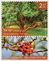 Israel -  Postfris / MNH - Complete Set Bomen 2018 - Ungebraucht (mit Tabs)
