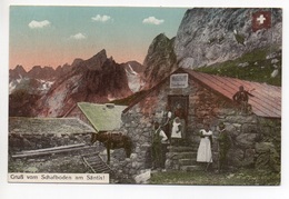 SCHWENDE Gruss Vom Schafboden Am Säntis Wirtschaft Landwirtschaft Gel. 1919 V. Alt St. Johann - Schwende