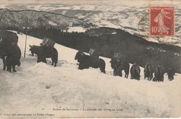 SERVANCE  -   HAUTE SAONE  70 -  CPA  LA MONTEE DES VIVRES EN HIVER - Otros & Sin Clasificación