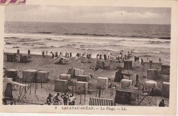 LACANAU  OCEAN     33 GIRONDE    CPA  SEPIA   LA PLAGE - Andere & Zonder Classificatie