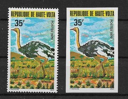 UPPER VOLTA 1979 BIRDS "ostriches" MNH - Avestruces