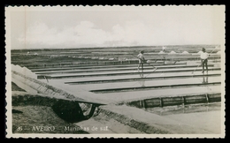 AVEIRO - SALINAS - Marinhas De Sal  (Ed.  Pap. Avenida Nº 26)   Carte Postale - Aveiro