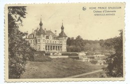 Serville -Anthée - Home Prince Baudouin - Château D'Ostemerée - Onhaye