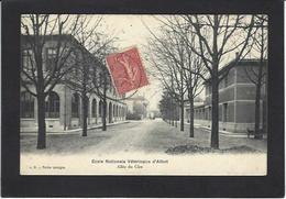 CPA Val De Marne 94 Maisons Alfort école Vétérinaire Vétérinary Circulé - Maisons Alfort