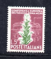 XP3104 - REPUBBLICA 1950 ,  5 Lire N. 629 ***  Tabacco.Filigrana Lettere 7/10 - Varietà E Curiosità