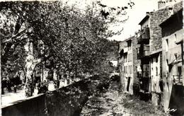 1 Cpsm Collobrières - Le Boulevard - Collobrieres