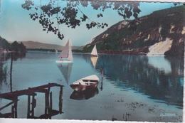 01 - NANTUA - VOILIERS SUR LE LAC - Nantua