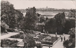 MAROC  - RABAT  CPSM  VUE SUR SALE  PRISE DU JARDIN DES OUDAÏAS - Rabat