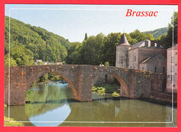 CPM- 81- BRASSAC-sur-AGOUT _ Vieux Pont Et Les Rives De L'Agout - SUP ** 2 SCANS - Brassac