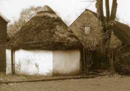 TILBURG (N.Br.) - Molen/moulin - Karnmolen, Rosmolen Aan De Oude Hilvarenbeekseweg. Historische Opname (ca. 1980) - Tilburg