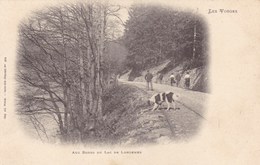 Vosges - Aux Bords Du Lac De Longemer - Other & Unclassified