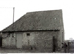 HOOGSTADE - Alveringem (W.Vl.) - Molen/moulin - De Verdwenen Houten (later Stenen) Rosmolen In De Brouwerijstraat (1981) - Alveringem