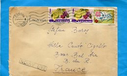 MARCOPHILIE-ROUMANIE-lettre > Françe Cad  - 1964-3 Stamps  RAISINS +FLEURS - Marcofilie