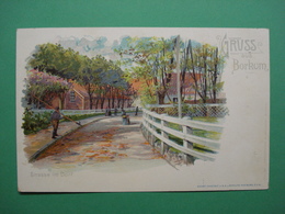 DE79 Borkum Strasse In Dorf Gruss Aus Litho - Borkum