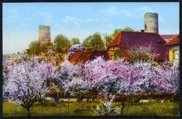 A0248 - TOP Kohren Sahlis - Baumblüte - Fritz Frenzel - W. Wenzel Oederan - Kohren-Sahlis