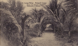 BELG. CONGO 1912 : PWS/E.P./P.St. - ILLUSTR.** Nr.14 – 5 C. : PALMIERS,PALM-TREES,PALMBOMEN,BANANA, - Ganzsachen