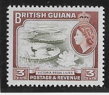 Guyane Britannique N°205A - Oiseaux - Neuf ** Sans Charnière - TB - Britisch-Guayana (...-1966)