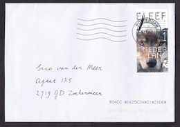 Netherlands: Cover, 2019, 1 Stamp + Tab, Wolf, Endangered Animal (traces Of Use) - Covers & Documents