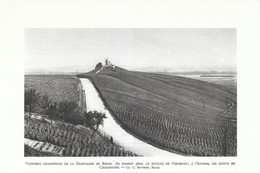 1952 - Héliogravure - Verzenay (Marne) - Le Moulin Et Les Vignes - FRANCO DE PORT - Non Classés