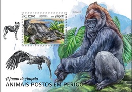 Angola 2018, Animals, Gorilla, Croccodile, BF - Gorilles