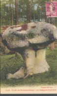 CPA MUSHROOMS, GIANT MUSHROOM, APREMONT MUSHROOM - Paddestoelen