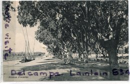 - EGYPTE - Ismailia - Avenue D'Acacias - Bateau Du Nil, Non écrite, TBE, Scans. - Ismailia